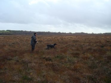 grand terrain avec chasseur et chien