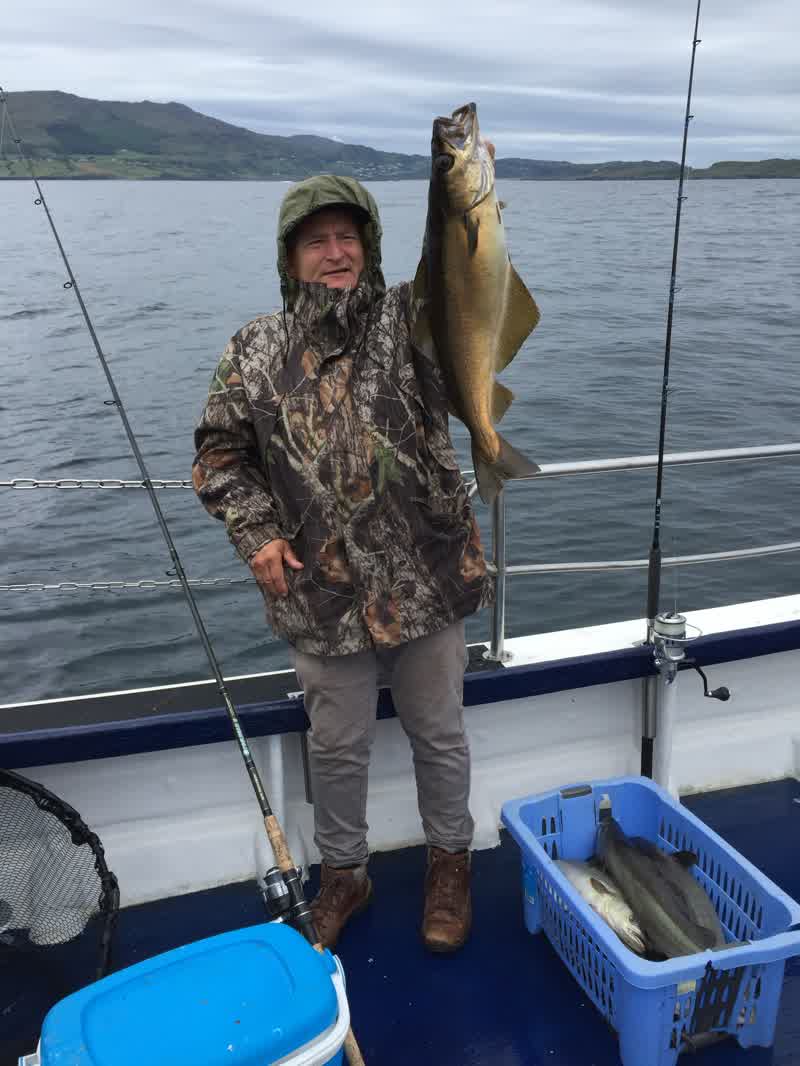 Pêcheur et son lieu jaune lors d’une sortie en mer en Irlande